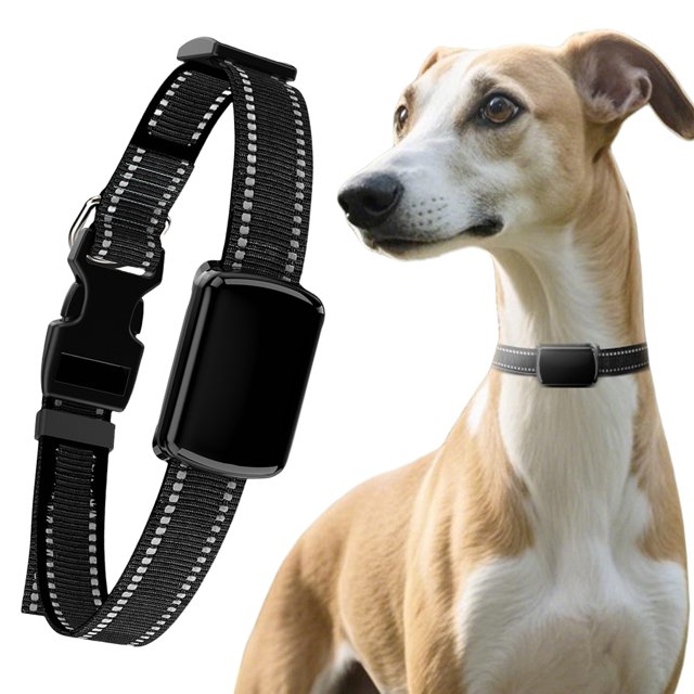 collar locator pet gps rastreador con gato ajustable para y gatos Collar localizador GPS negro ajustable con módulo rectangular montado en correa de nylon tejida y hebilla de cierre rápido; se muestra un gato con el collar puesto, costuras reflectantes visibles para mayor visibilidad, producto de importación; adecuado para rastreo y entrenamiento ligero durante paseos.