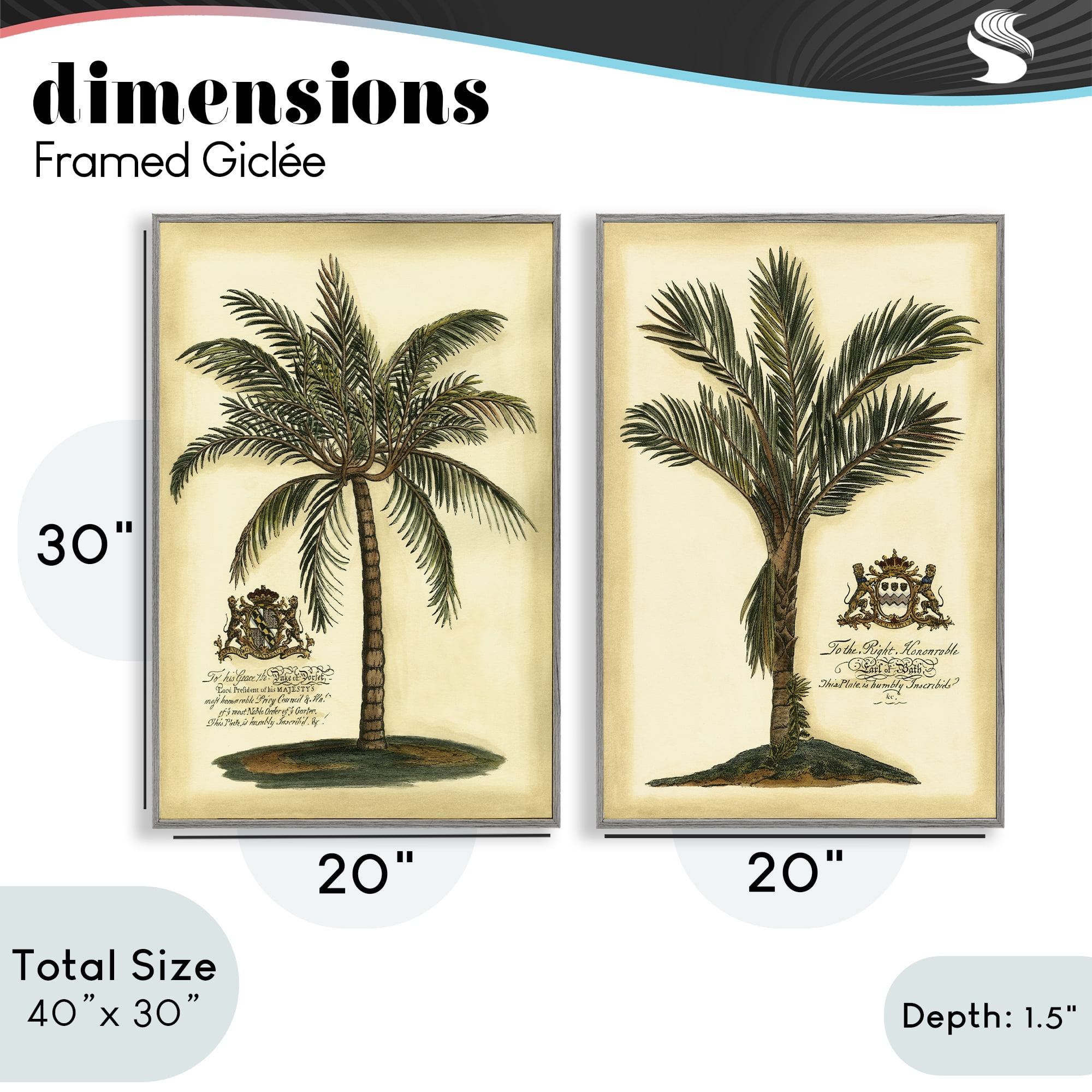 Stupell Industries Vintage Historical Palms 2 Piece Gray Framed Giclee Art Set, design by Vision Studio