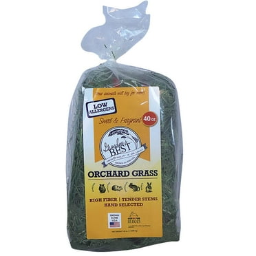Grandpa's Best Orchard Grass Hay for Rabbits & Small Pets - Bulk Mini ... - Baled Grass Hay For Pet Rabbits
