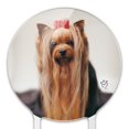 thumbnail image 3 of Acrylic Yorkie Yorkshire Terrier Dog Red Bow Cake Topper Party Decoration for Wedding Anniversary Birthday Graduation, 3 of 7