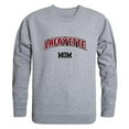 thumbnail image 1 of W Republic 564-323-HGY-01 Lafayette College T-Shirt Col Rond pour Femmes Maman, Gris Chiné - Petit, 1 of 1