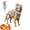 Gray, variant on PetDinosaur Costume, Soft Plush T-Rex Skeleton Halloween Costume for Dogs | Cosplay Clothes for Medium & Large Dog