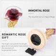 thumbnail image 3 of Muyoka Austok Rose Gift, Beauty and The Beast Rose, Kit de rosas, Rose de seda roja y luz LED con pétalos caídos en cúpula de vidrio sobre base de madera Día de San Valentín Aniversario Cumpleaños Muyoka Hogar, 3 of 5