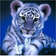 thumbnail image 1 of Tiger Diamond Art Kits Full Drill, Animal 5D Diamond Art for Kids Round Beads Paint with Diamonds Kits 30x30cm/11.81x11.81inch, 1 of 5