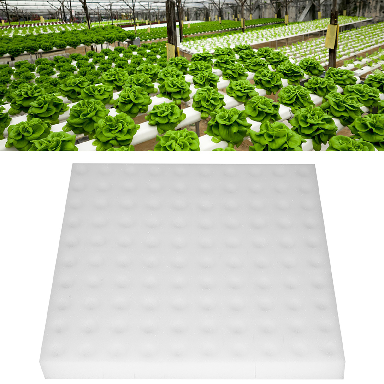 Hydroponic Sponge, Seed Growing Media Gardening Sponge 100Pcs For
