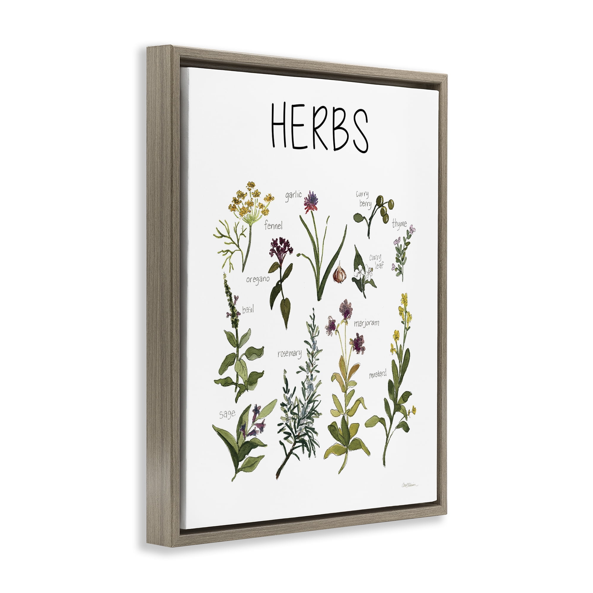 Stupell Industries Herbs Identification Chart Brown Framed Floater Canvas Wall Art, design by Carol Robinson