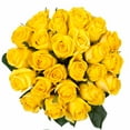 thumbnail image 3 of Yellow Roses - Farm Direct Fresh Cut Flowers 100 Stems, 3 of 8