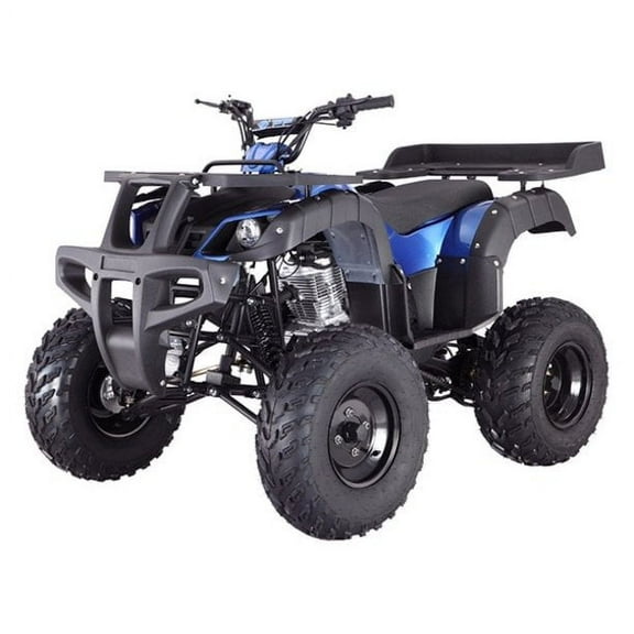 Tao Tao Motor 150D Blue 169 cc ATV