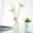 K, variant on Lemononstore Room Decor Reed Oil Diffusers with Natural Sticks, Glass Bottle and Scented Oil 50Ml Home Decor