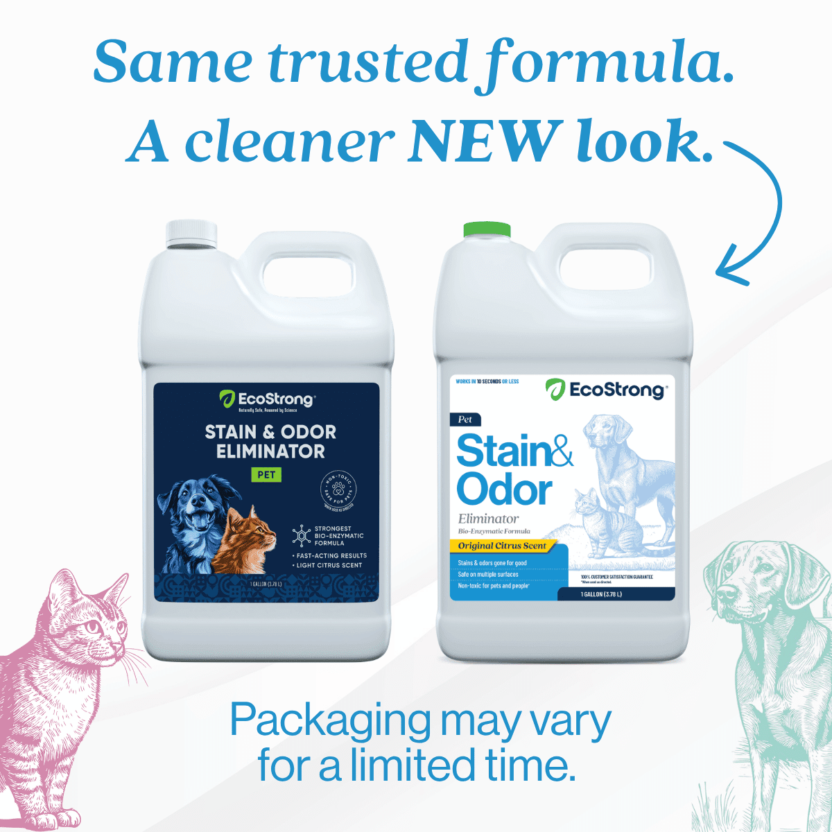 Eco Strong Enzymatic Pet Stain & Odor Remover for Cats & Dogs, 1 Gallon Jug, Citrus Scent