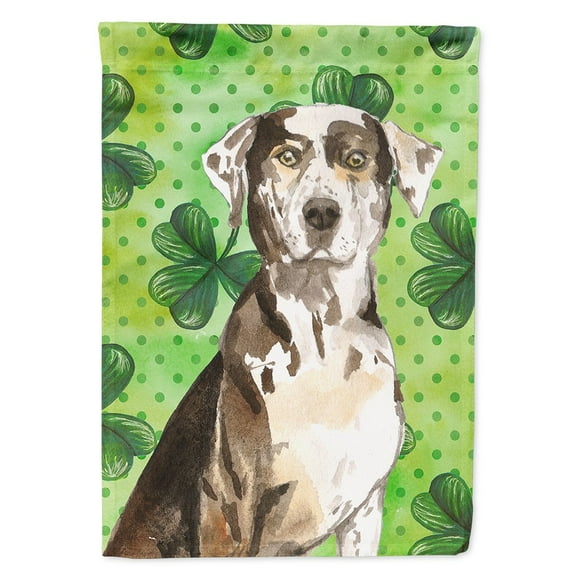 Carolines Treasures CK1808CHF Shamrocks Catahoula Leopard Dog Flag Canvas House Size  Large multicolor