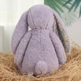 thumbnail image 3 of NOUGFVZP Easter Bunny Plush Toys, 10" Easter Stuffed Animals Bunny with Blossom Ears, Spring and Easter Decorations, Easter Long Ear Rabbit Plush Toys Gifts for Kids, Boys, Girls, 3 of 14