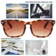 thumbnail image 5 of Gafas de Sol Bifocales Clásicas Retro para Mujer +2.0 Paquete de 3, 5 of 6