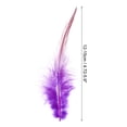 thumbnail image 2 of Unique Bargains 5-6 Inch Rooster Feathers, 200 Pack Bulk Natural Feathers for Crafts Style 2, Purple, 2 of 5