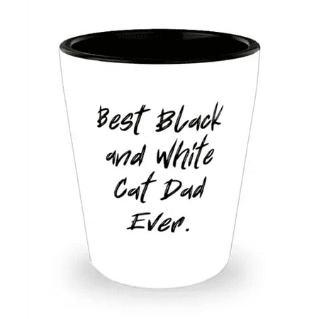 

Useful Black and White Cat Shot Glass Best Black and For Cat Lovers Present From Friends Ceramic Cup For Black and White Cat