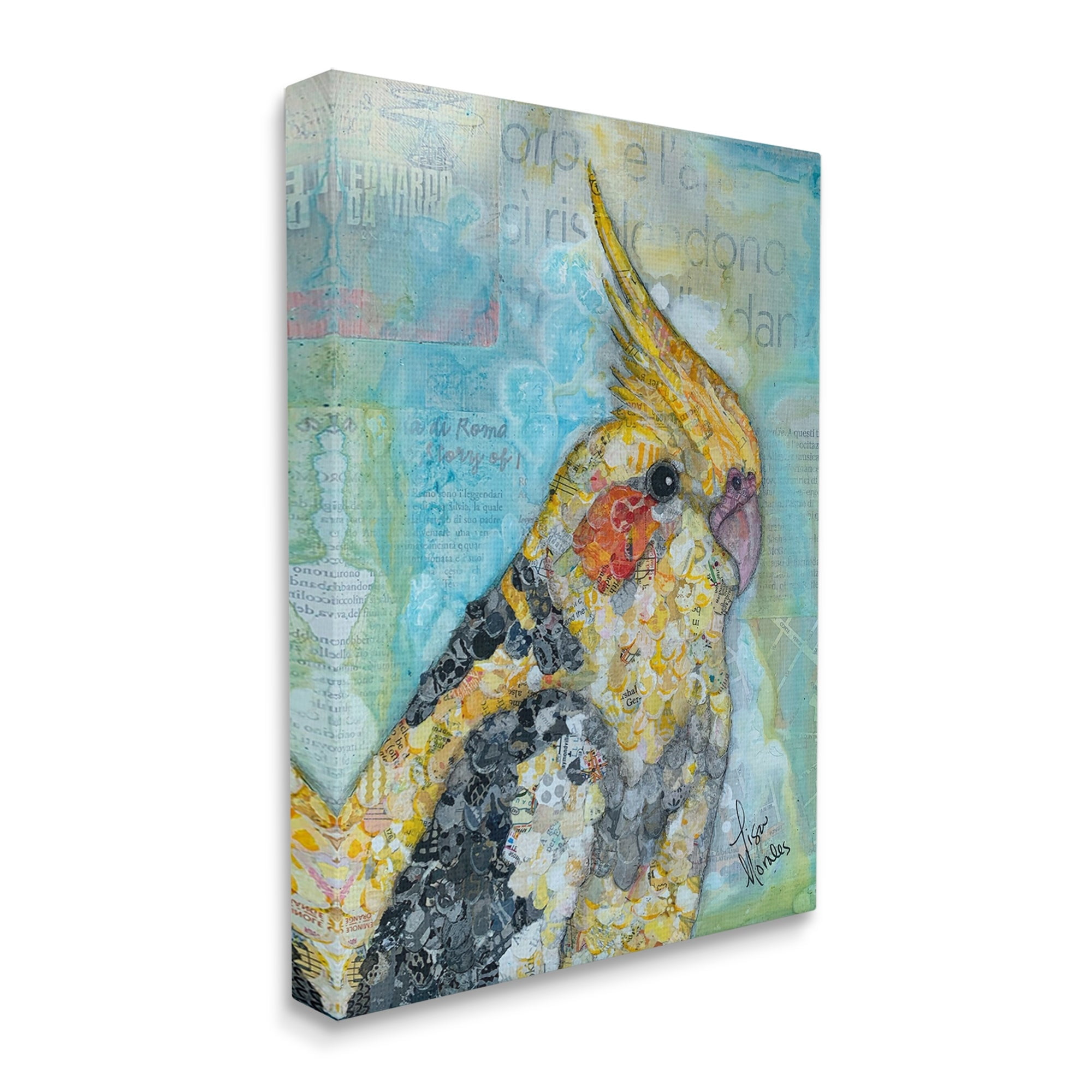 Stupell Industries Jolly Cockatiel Bird Assorted Layered Animal Collage Painting Gallery Wrapped Canvas Print Wall Art, Design by Lisa Morales