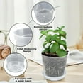 thumbnail image 6 of YaoZQ 5 Pack 6 inch Clear Plastic Plant Pots with Base, Transparent Nursery Container with Drainage, Airflow Pot for Aroids & Orchids, Garden Tool, 6 of 8