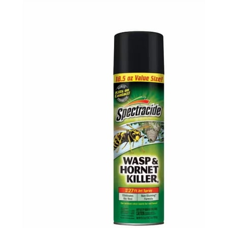 18.5 Oz. Wasp And Hornet Killer Aerosol Spray (Insect Killer)