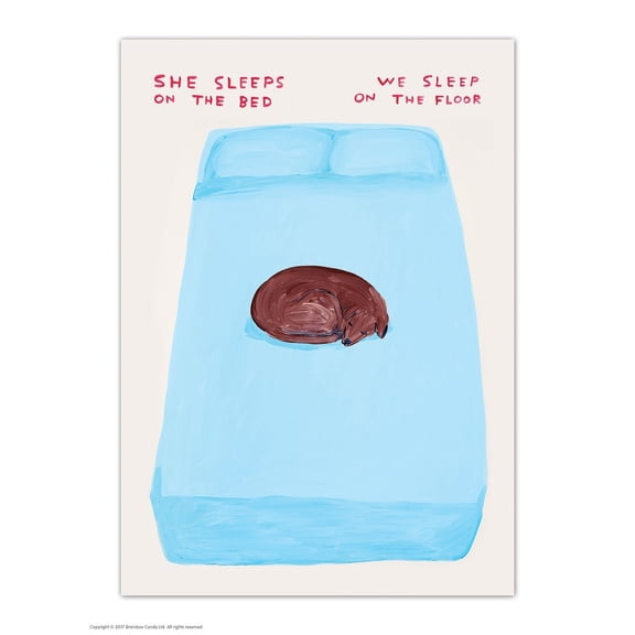 Postcard - Funny A6 Print - She Sleeps On The Bed