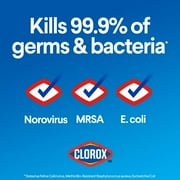 Clorox Disinfecting Bleach, Regular - 121 Ounce Bottle