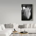 thumbnail image 3 of Trademark Fine Art 'Beauty II' Canvas Art by Aledanda, 3 of 3