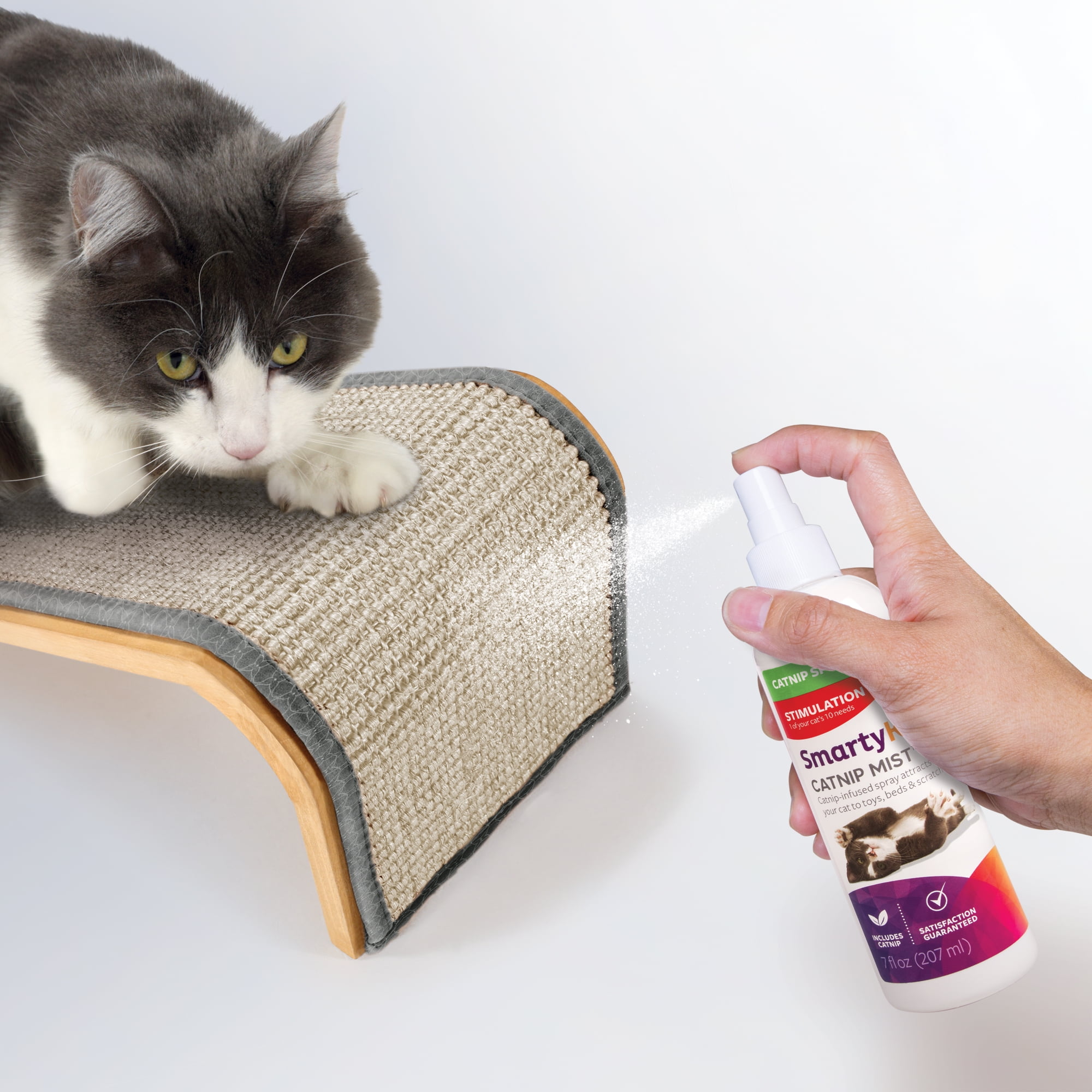 Spray herbe à chat Catnip 60ml, spray à vaporiser