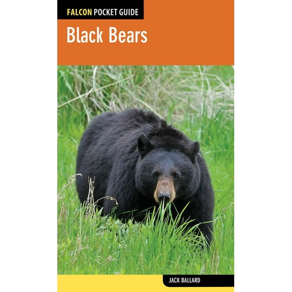 Falcon Pocket Guides: Black Bears (Edition 1) (Paperback)