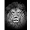 thumbnail image 1 of Cuadros Decorativos Kit de dibujo de taladro redondo completo DIY 5D Animal blanco negro hecho a mano pintura de diamante JShteea Nuevos Originales, 1 of 5