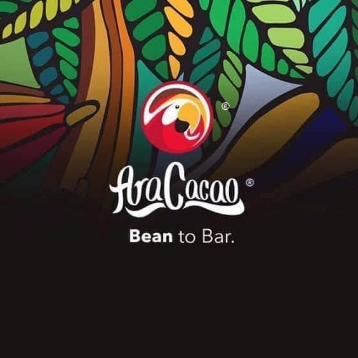 AraCacao Chocolate Candy - Office Kitchen Snack Solution - Walmart Business  Supplies, image size:1500x1500