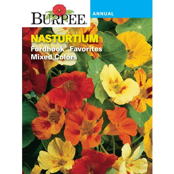 Burpee Fordhook Favorites 1 Nasturtium Flower Seed