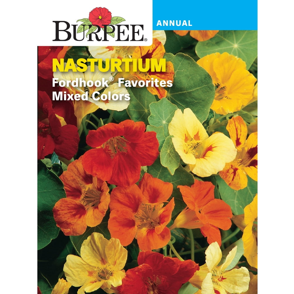 Burpee Fordhook Favorites Mixed Colors Nasturtium Flower Seed, 1-pack ...