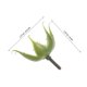 thumbnail image 2 of Nestingho 200Jgo Calyxes De Sépalos De Plástico Para Flores Artificiales Con Verde, 2 of 6