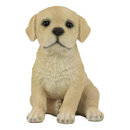 Ebros Realistic Sitting Adorable Labrador Puppy Statue 6.75