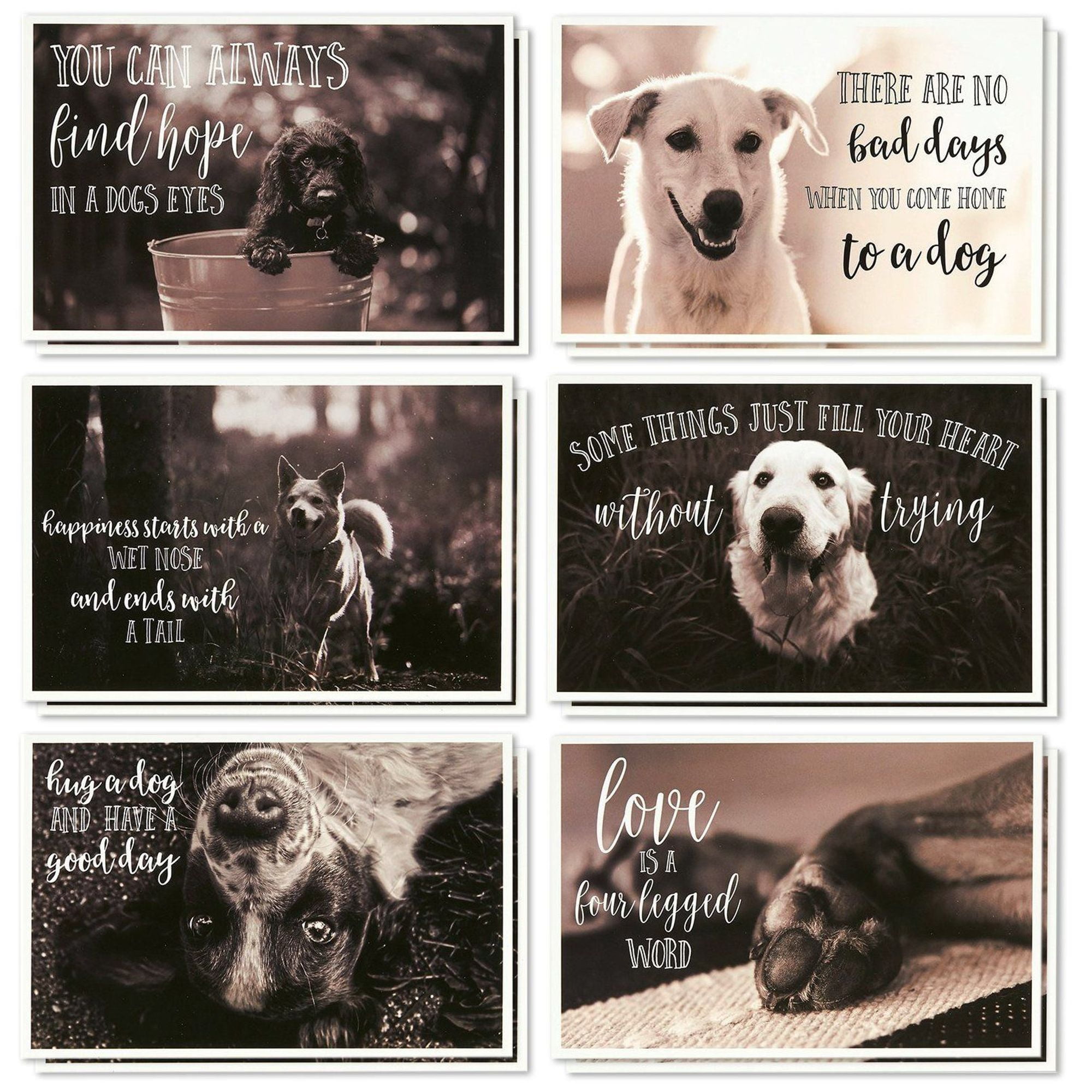 Set of 8. DOGS /& CATS and DOGS themed blank note cards