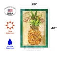 Toland Home Garden Pineapple House Flag