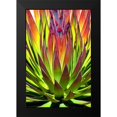 thumbnail image 2 of Taylor, Douglas 13x18 Black Modern Framed Museum Art Print Titled - Colorful Agave II, 2 of 5