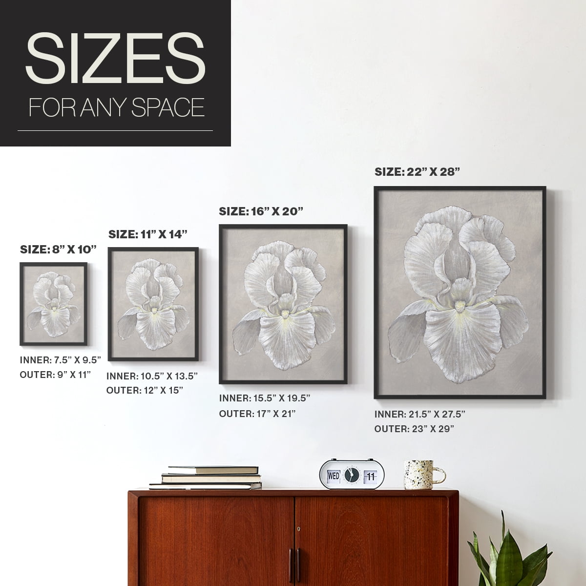 White Iris II Framed Print in Black Solid Wood 16 x 20 Framed Print