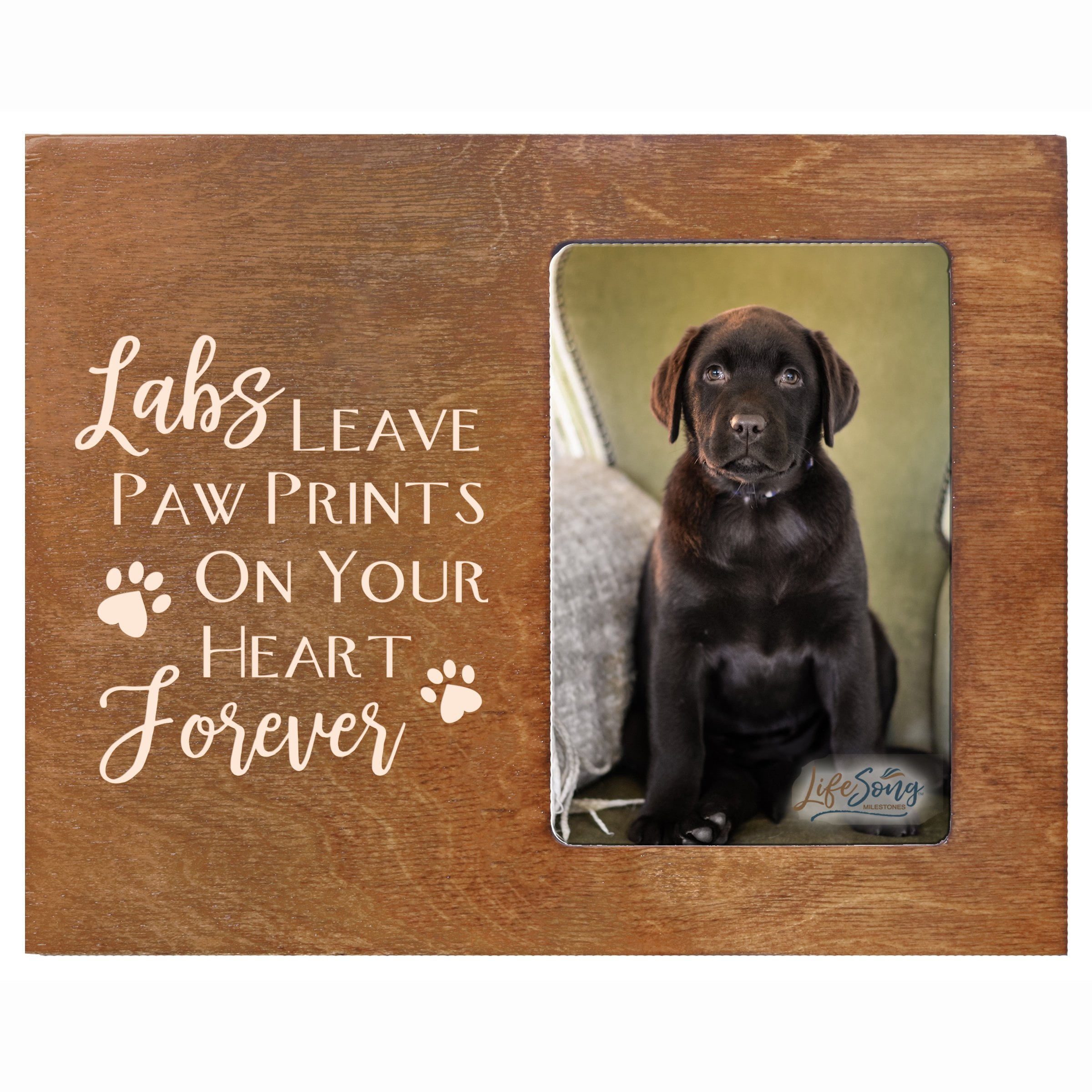 DOGS LEAVE PAWPRINTS on Your Heart  sign Wooden Dog Puppy animal pet decor 4x6" 