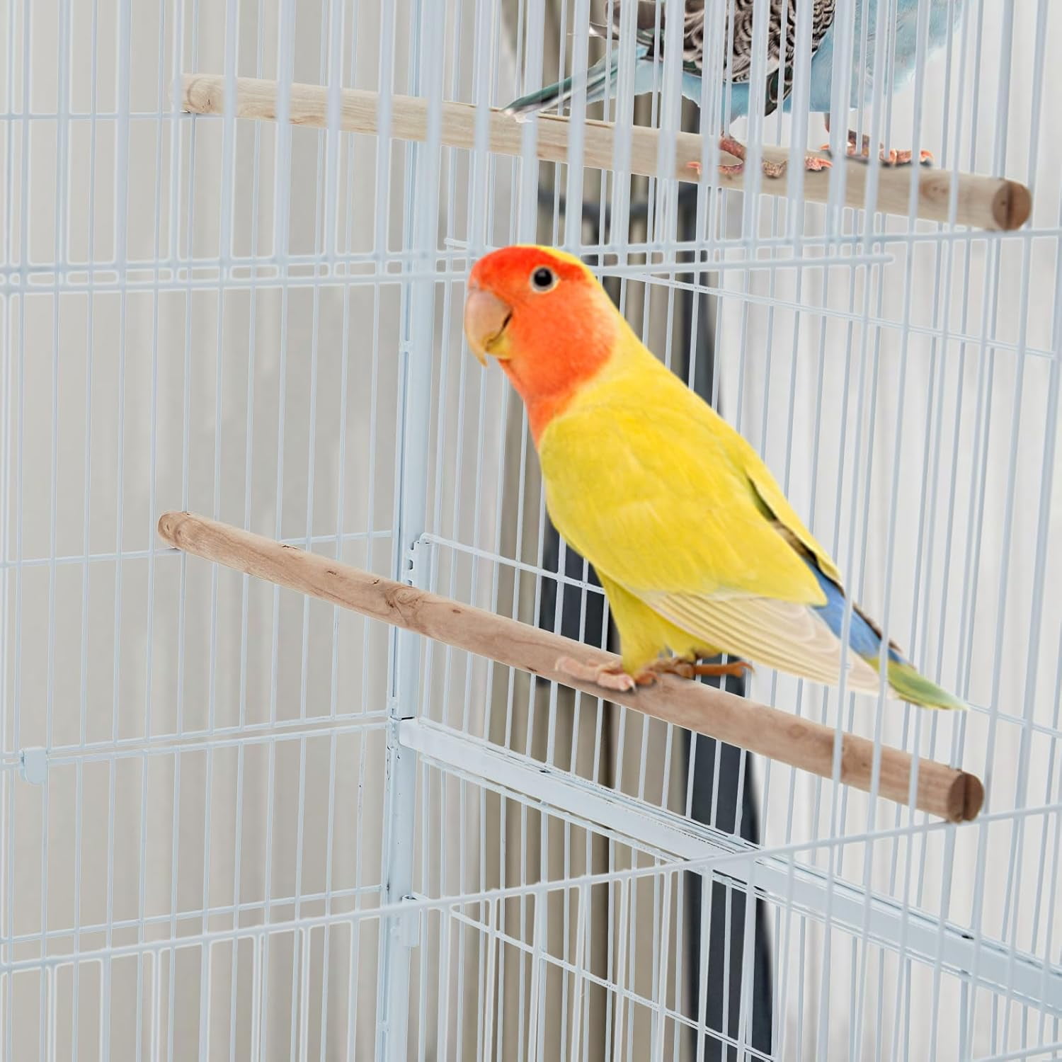 Huisuilinss Bird Cage,Wrought Iron Standing Flight Bird Cage With Rolling Stand And Slide Out Tray,Parakeet Cage,Parrot Playstand For Large/Small Parrots Macaw Cockatiels Canary Finch Pigeons