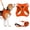 neon_Orange, variant on Filbert Dog Harness and Leash Set,  3/4 inch X 4.6ft Strong and Durable Leash, Step-in Reflective Harness Small Sized Dogs, Mesh Vest, High Reflectivity, Breathable Fabric, Heavy Duty Velcro
