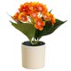 thumbnail image 1 of Simulación de hortensia, bonsái, flor de seda, planta verde artificial, decoración interior, planta artificial en maceta, 1 of 5