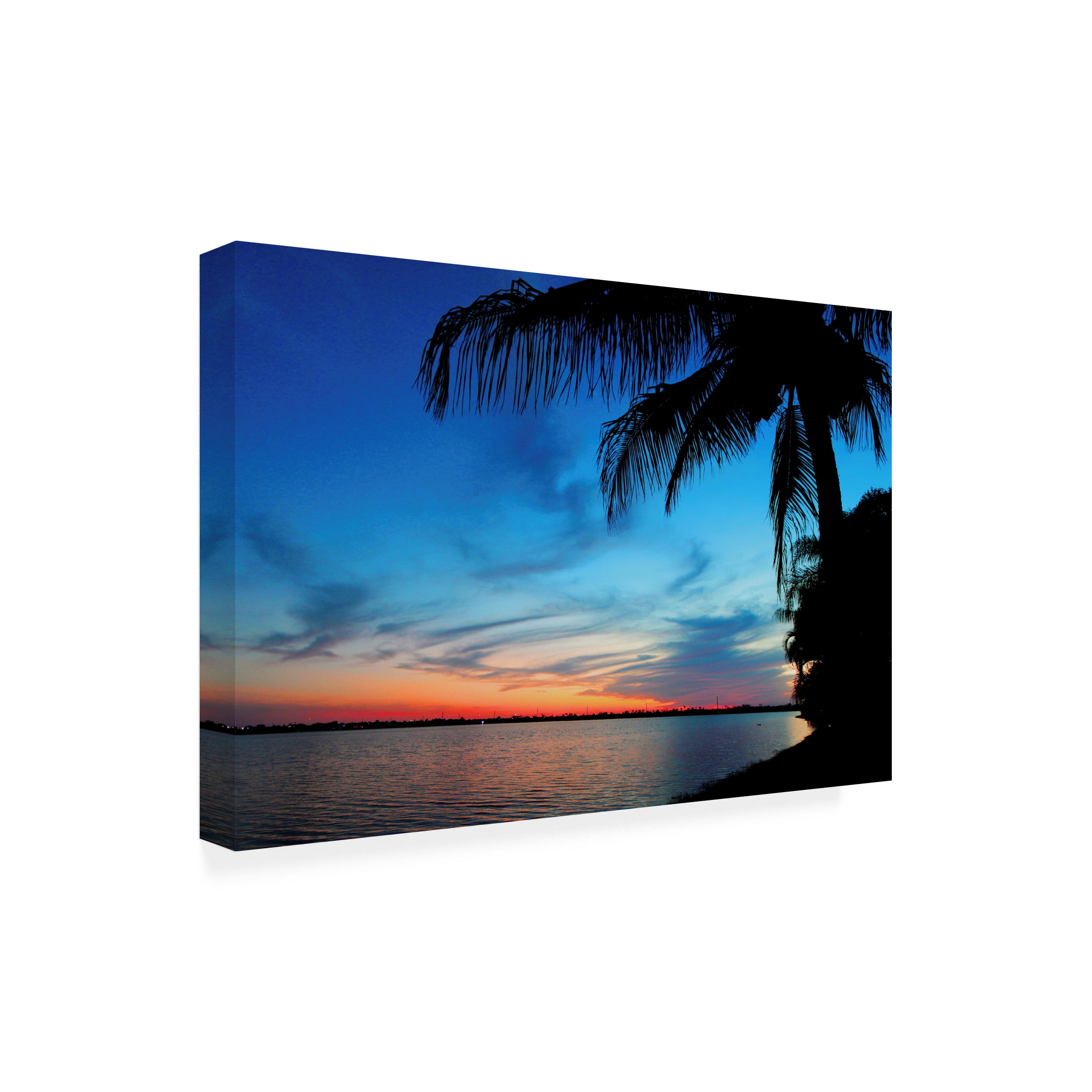 Dana Brett Munich 'Day's End Soothing' Outdoor Canvas