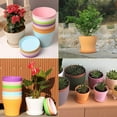 thumbnail image 3 of 8Pcs Colorful Plastic Flower Pots Plastic Mini Nursery Pots Small Thick Plastic Plant Pots Nursery Seedling Planter Garden Flower Pot Container with Pallet/Trays for Flower, Succulent, Cactus, 3 of 6