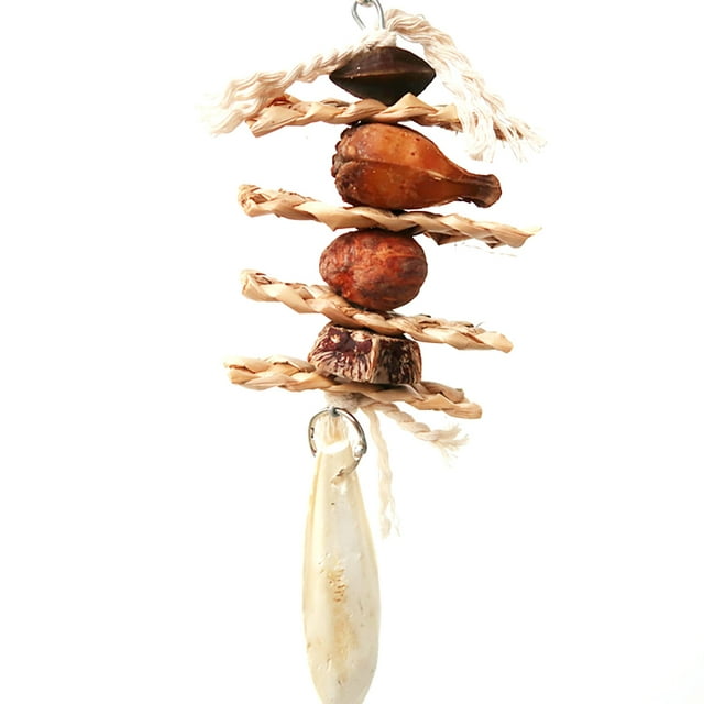 Bird Hanging Toy Wooden: Natural Parrot Chewing Toy Bird Cage Toy for Parakeets