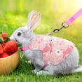 thumbnail image 2 of Bunny Harness and Leash Set for Rabbits & Small Pets - Escape-Proof Rabbit Harness with Adjustable Clothes - Soft Bunny Leash for Guinea Pigs, Ferrets & More, 2 of 6