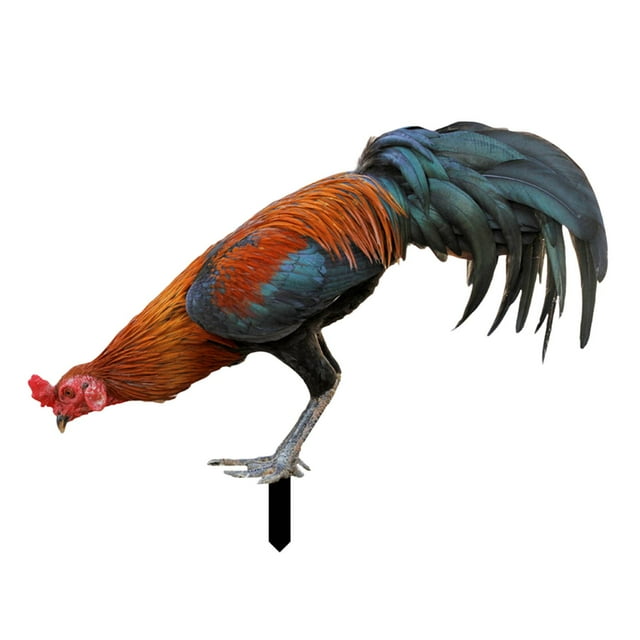 Estaca decorativa de gallo para jardín perfecl figura acrílica
