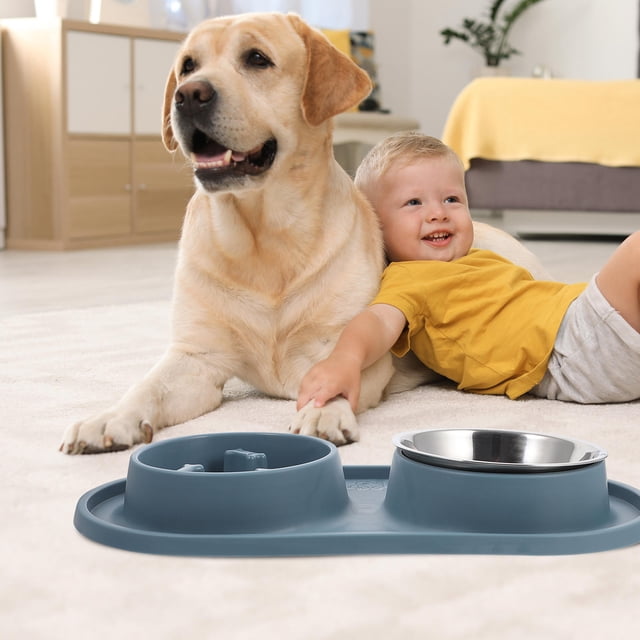 FENGGUIQU Comedero Para Perros Azul Antiahogo Con Doble Para Y