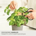 thumbnail image 6 of Thyme & Table 20-Piece Stainless Steel Knife and Cutting Board Set, Black, 6 of 15