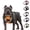 Black, variant on Adjustable Dog Harness Vest with Night Reflective Strip for Small Medium and Large Dogs for Outdoor Walking