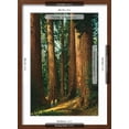 thumbnail image 5 of Art.com Sequoia Trees, California Art Print, Brown Frame Wall Art, 17" x 23", 5 of 5